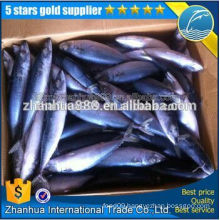 100% Warranty Advantage Price Sell Korean Frozen Pacific Mackerel